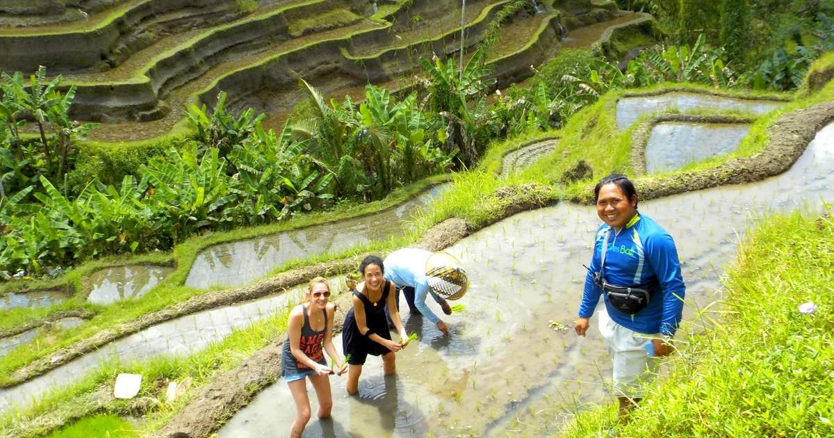 zin canggu bali